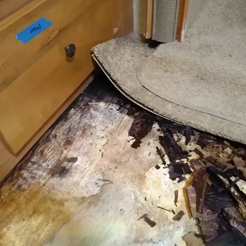 Wood Floor Water Damage in Lathrop, MO